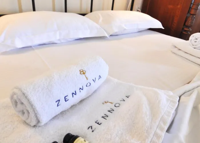 Zennova #62, Boutique In