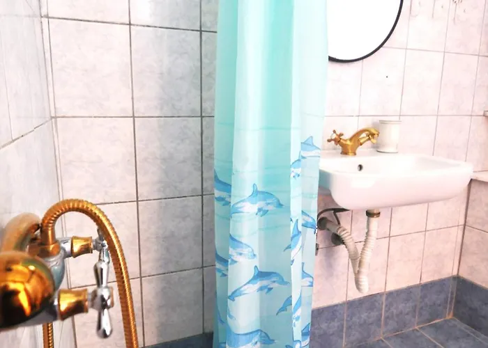 Zennova #62, Boutique In