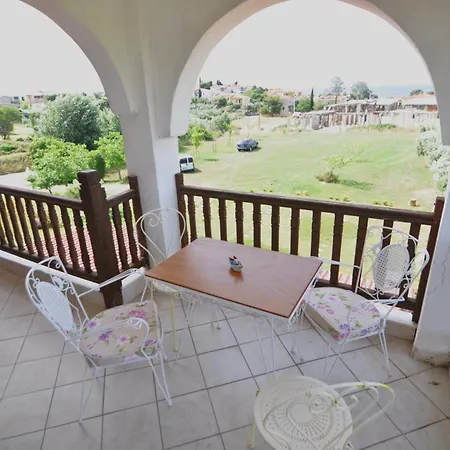 Zennova #62, Boutique In